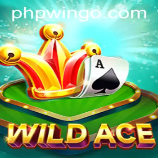Exploring the Thrilling World of WildAce: A New Era of Online Gaming